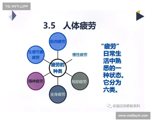 体能恢复的科学原理与有效方法探索提升运动表现与健康的关键策略 体能恢复的科学原理与有效方法探索提升运动表现与健康的关键策略