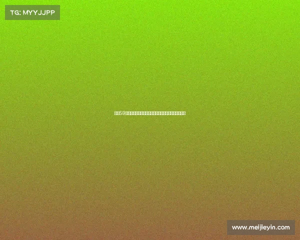 汉堡59分斩获德乙亚军强力引援重返德甲新阵容能否带来突破