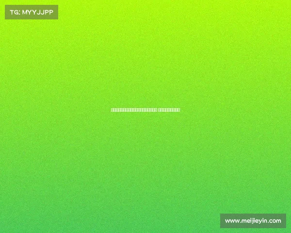 申花为亚冠精英赛备战引进三大重量级锋霸 已正式报名参加赛事